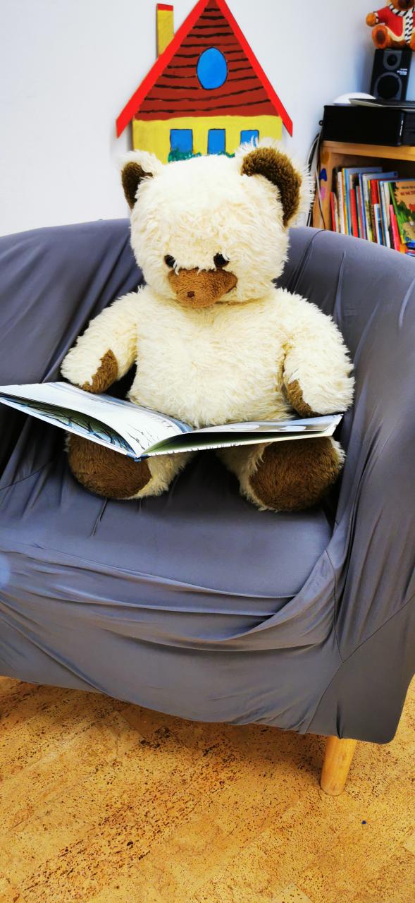 Bruno der Lesebär